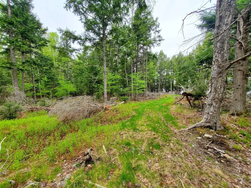 0 Blackcat Point Drive Princeton ME 04668