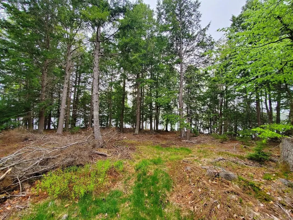 0 Blackcat Point Drive Princeton ME 04668