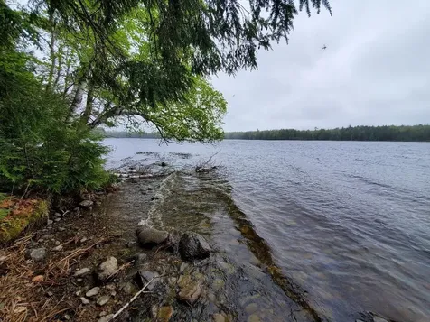 0 Blackcat Point Drive Princeton ME 04668