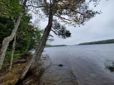 0 Blackcat Point Drive Princeton ME 04668
