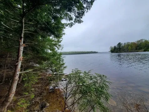 0 Blackcat Point Drive Princeton ME 04668