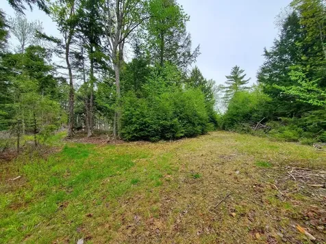 0 Blackcat Point Drive Princeton ME 04668