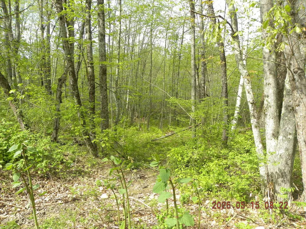 Lot 35 Bennett Road Alfred ME 04002