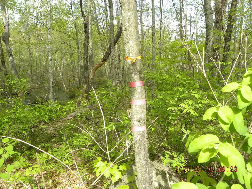 Lot 35 Bennett Road Alfred ME 04002