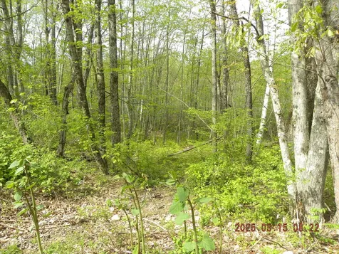 Lot 35 Bennett Road Alfred ME 04002