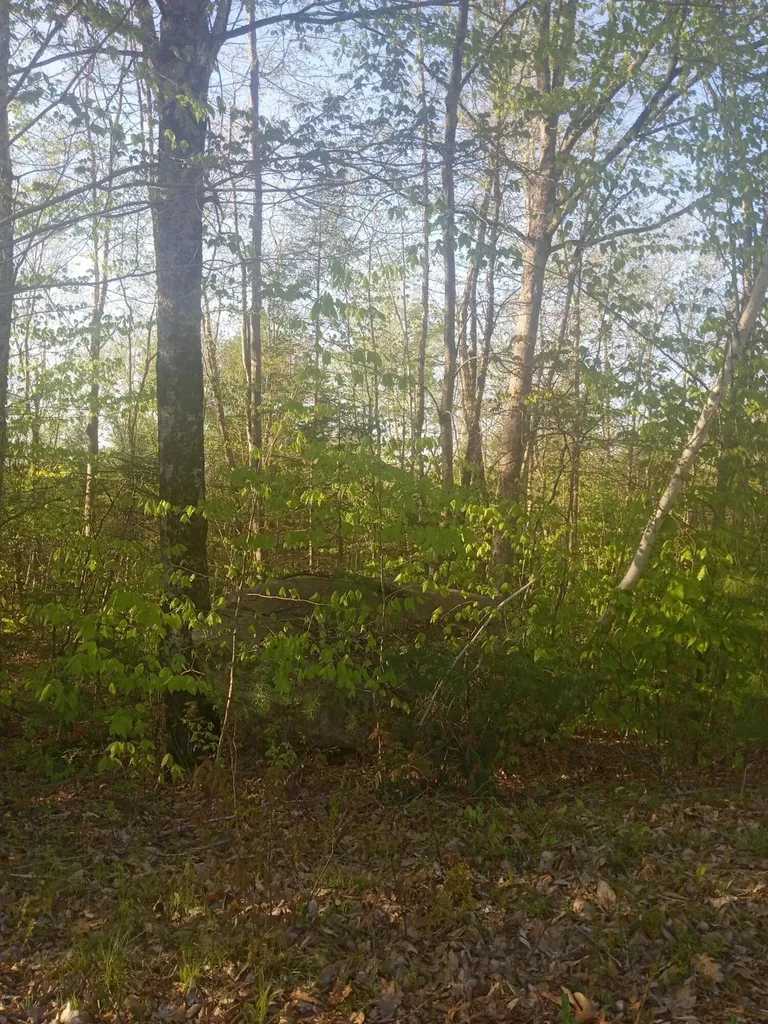 41 Federal Road Fryeburg ME 04037