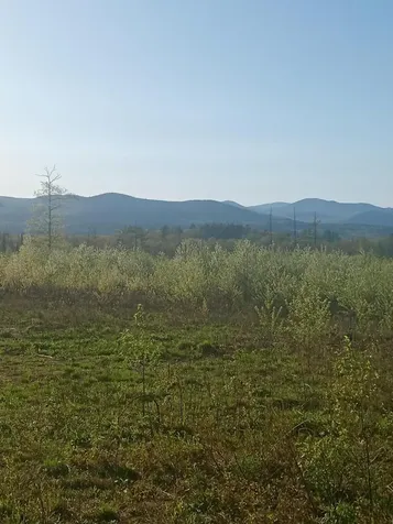 41 Federal Road Fryeburg ME 04037