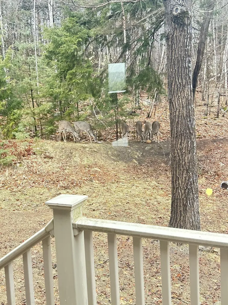 26 Island View Drive Greene ME 04236