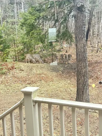 26 Island View Drive Greene ME 04236