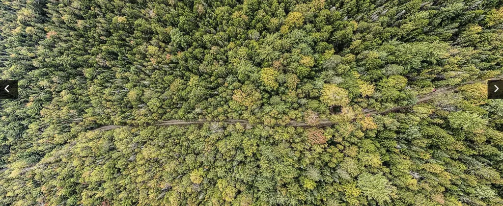 Lot 11-1 Carry Ridge Road Northfield ME 04686