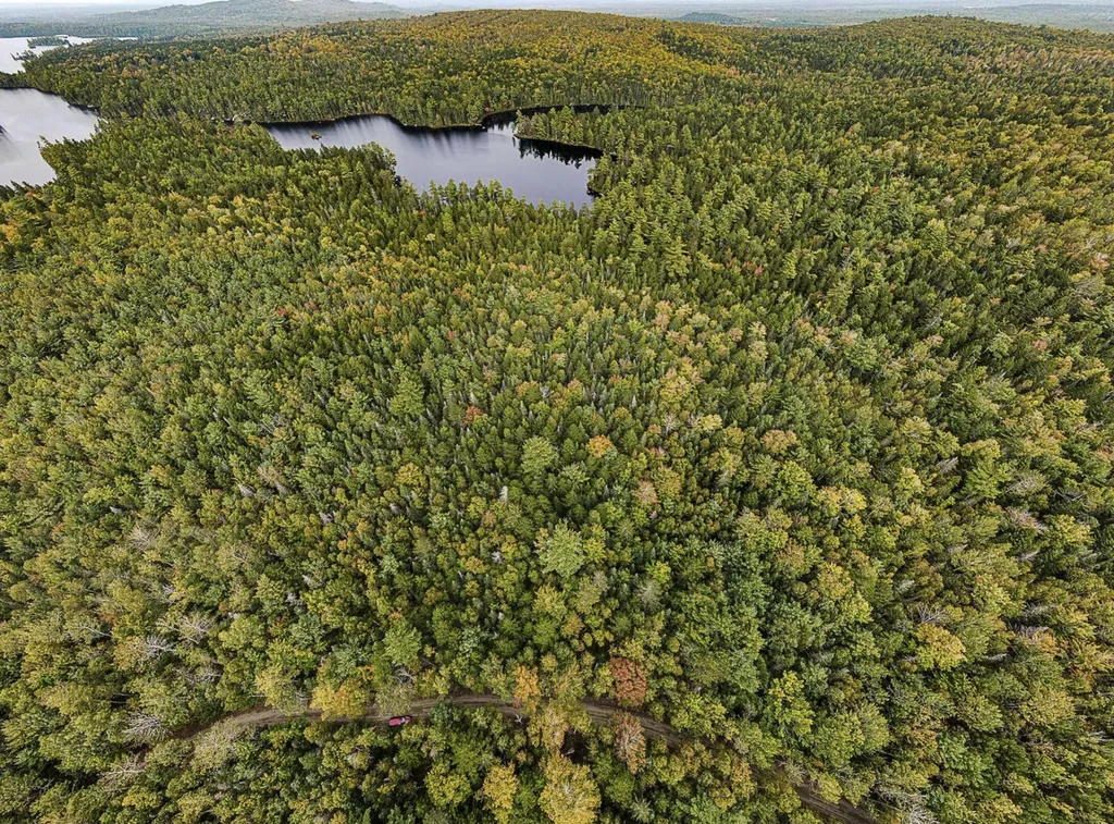 Lot 11-1 Carry Ridge Road Northfield ME 04686