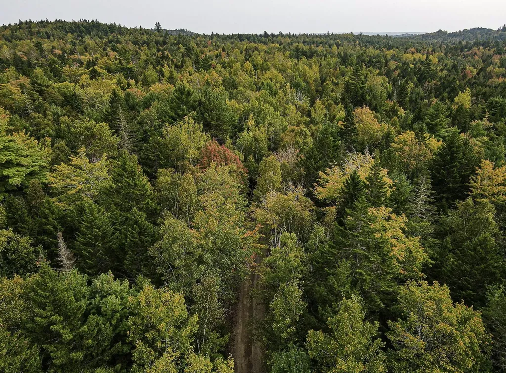 Lot 11-1 Carry Ridge Road Northfield ME 04686