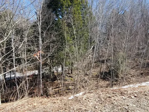 Lot# 51 Indian Hill Lane Frankfort ME 04438