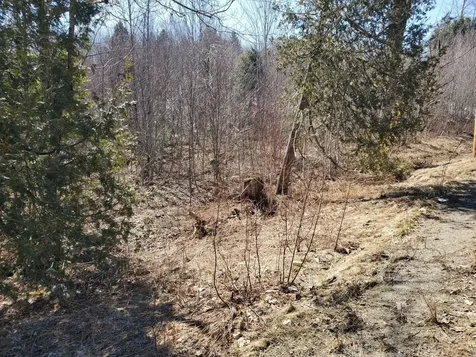 Lot# 47 Indian Hill Lane Frankfort ME 04438