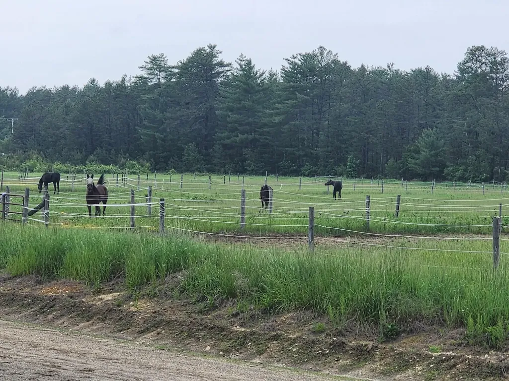 53 Branch Brook Lane Newfield ME 04095