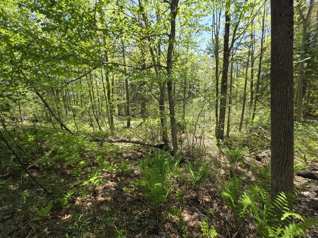 Lot 254 Eastern Avenue Augusta ME 04330