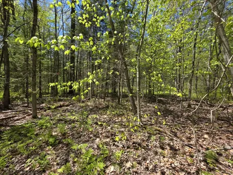 Lot 254 Eastern Avenue Augusta ME 04330