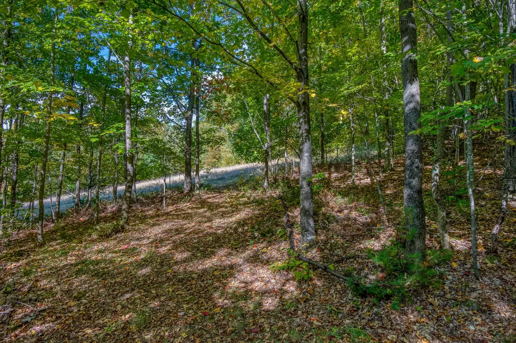 58 Wheeler Hill Road Phillips ME 04966
