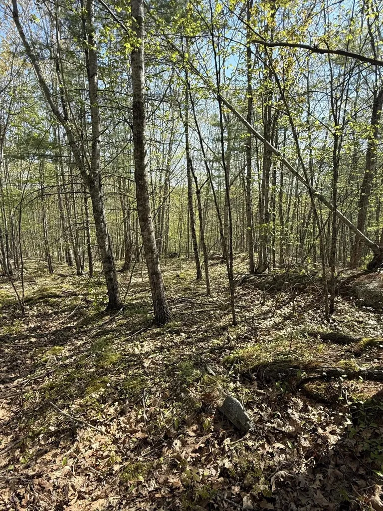 0 Sky High Drive Jefferson ME 04348