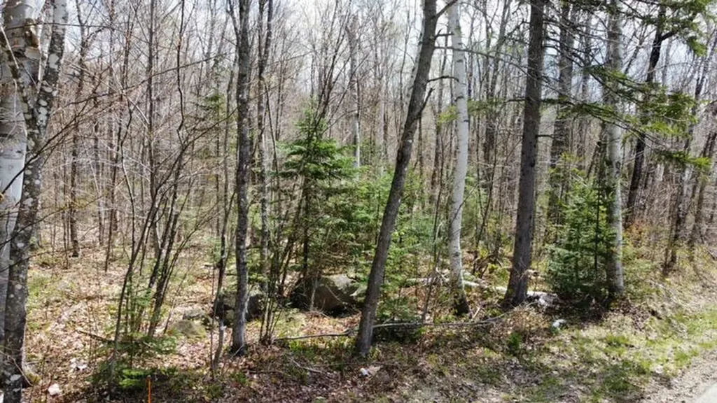 2029 Fox Hollow Road Carrabassett Valley ME 04947