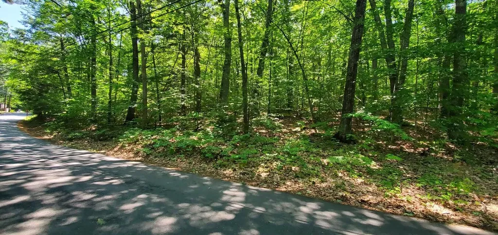 Lot #006 Trickey Pond Road Naples ME 04055
