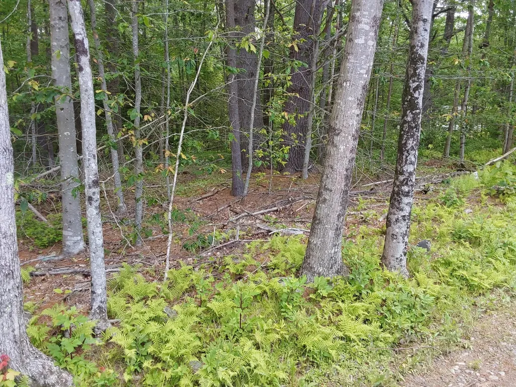 M19-L16-1 Augsuta Road Jefferson ME 04348