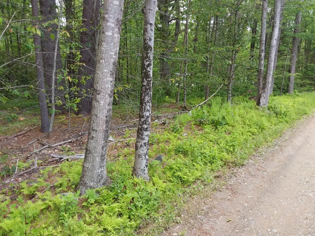 M19-L16-1 Augsuta Road Jefferson ME 04348