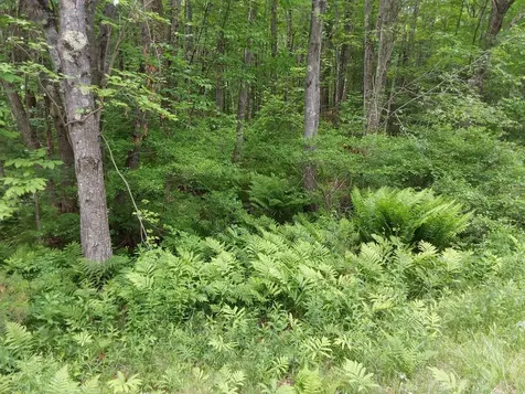 M19-L16-1 Augsuta Road Jefferson ME 04348