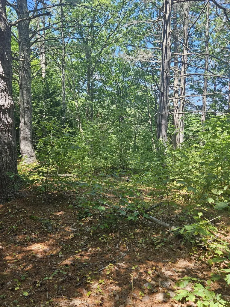 188 Old Chadbourne Road Lewiston ME 04240