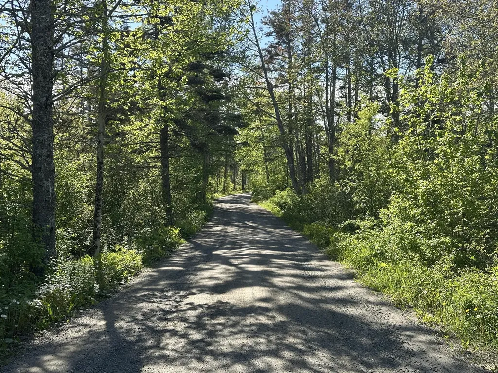 Lot #51 Shumaker Lane Saint George ME 04860