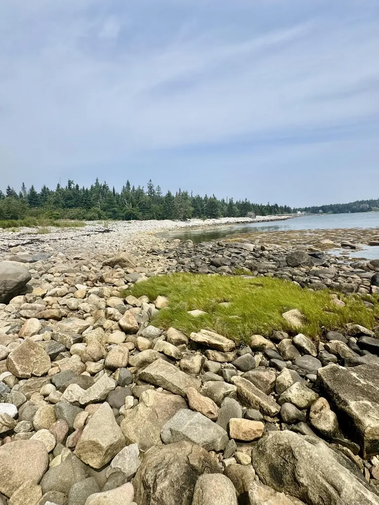 Lot #5 George Wright Road Vinalhaven ME 04863