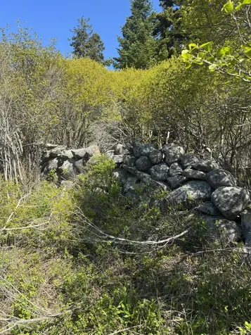 Lot #5 George Wright Road Vinalhaven ME 04863