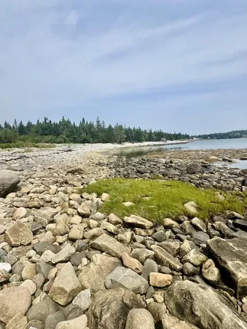 Lot #5 George Wright Road Vinalhaven ME 04863
