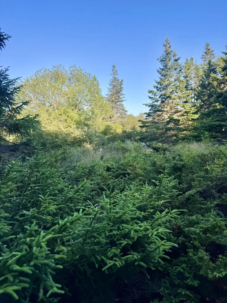 Lot #2 Pequot Road Vinalhaven ME 04863