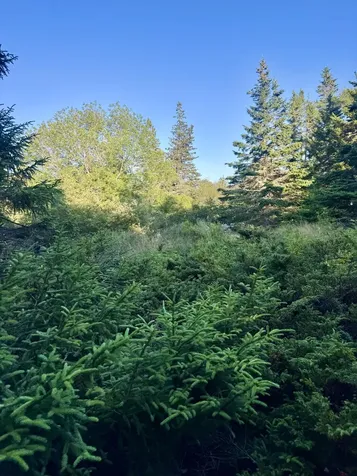 Lot #2 Pequot Road Vinalhaven ME 04863