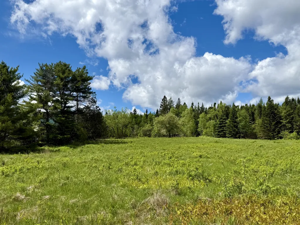 149 Old Eastport Road Perry ME 04667