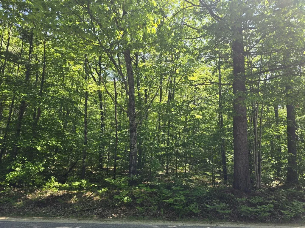 LOTR10MAP4 Skeetfield Road Oxford ME 04270