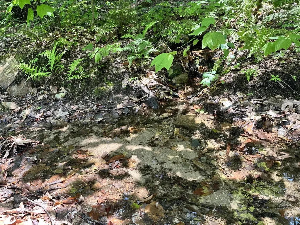Lot 20 Dyke Mountain Road Sebago ME 04029