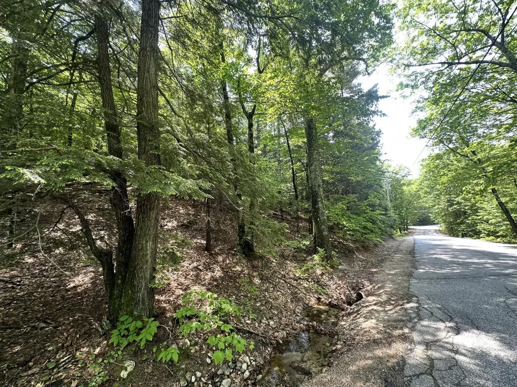 Lot 20 Dyke Mountain Road Sebago ME 04029