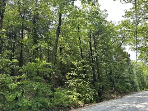 Lot 20 Dyke Mountain Road Sebago ME 04029