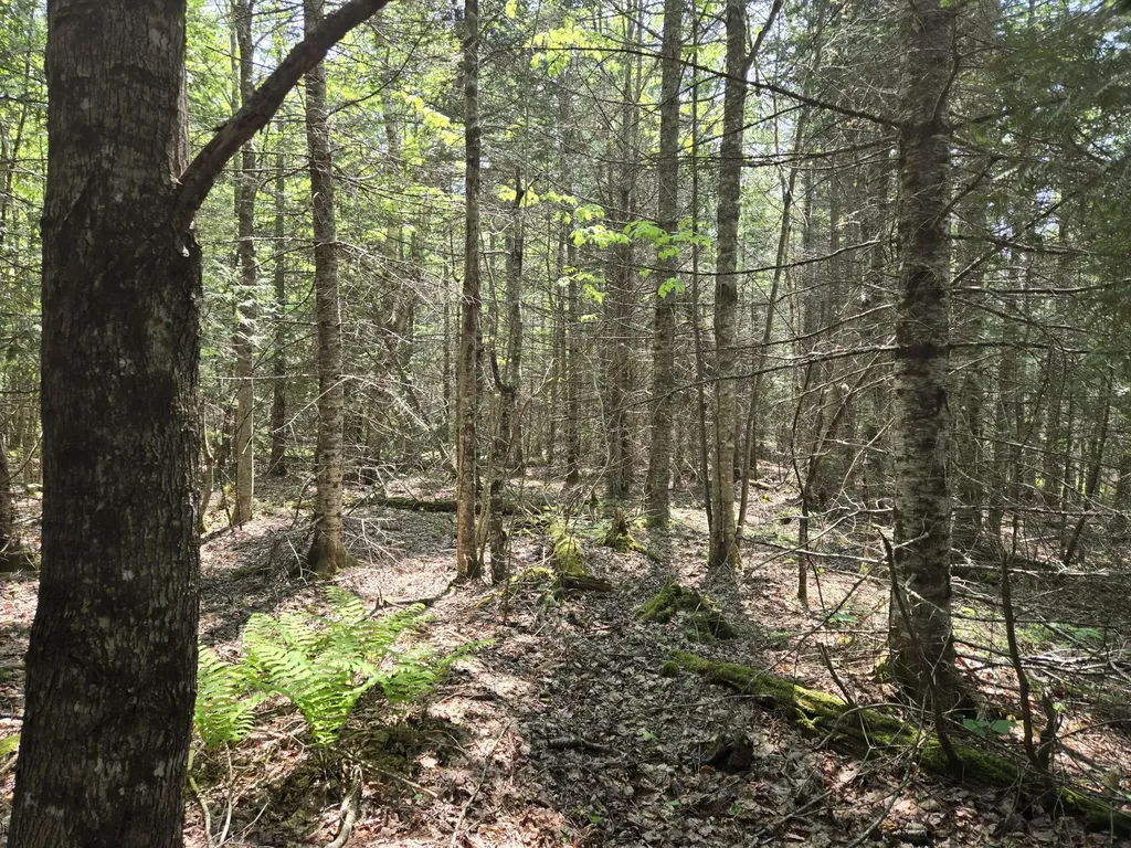 0 Map Wa032 Plan 01 Lot 103.1 Trescott Twp ME 04652