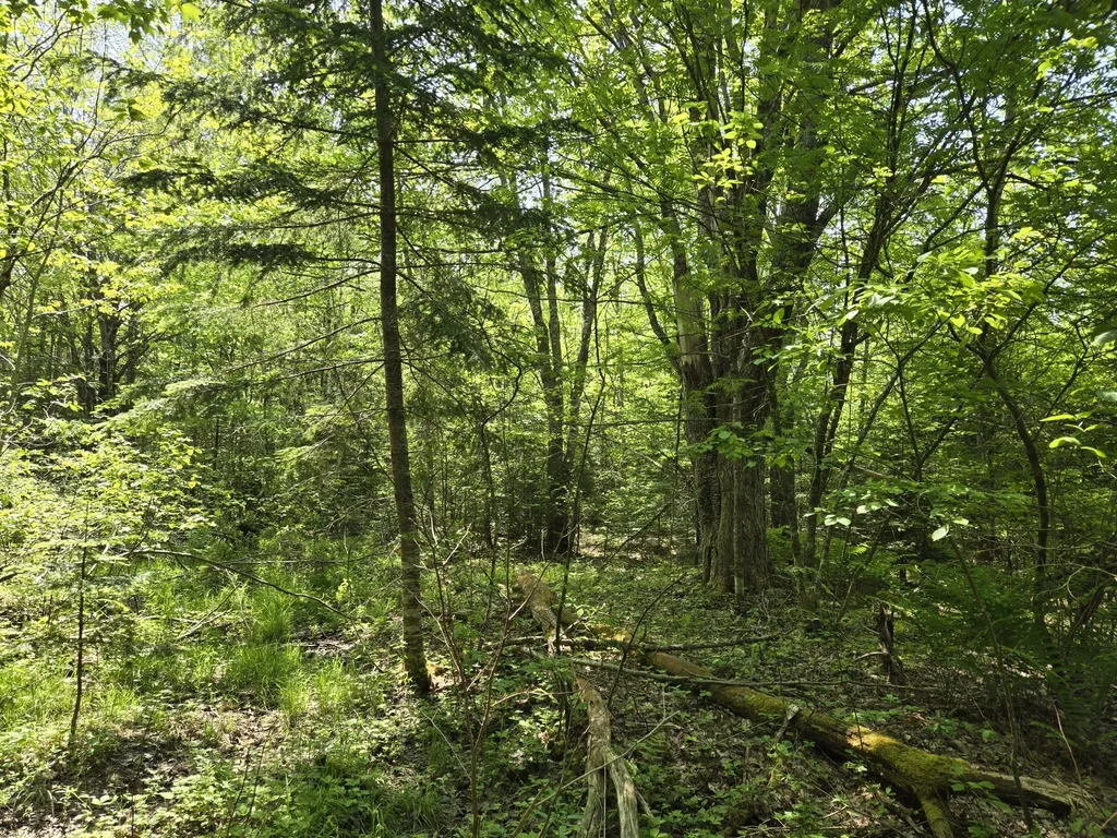 0 Map Wa032 Plan 01 Lot 103.1 Trescott Twp ME 04652