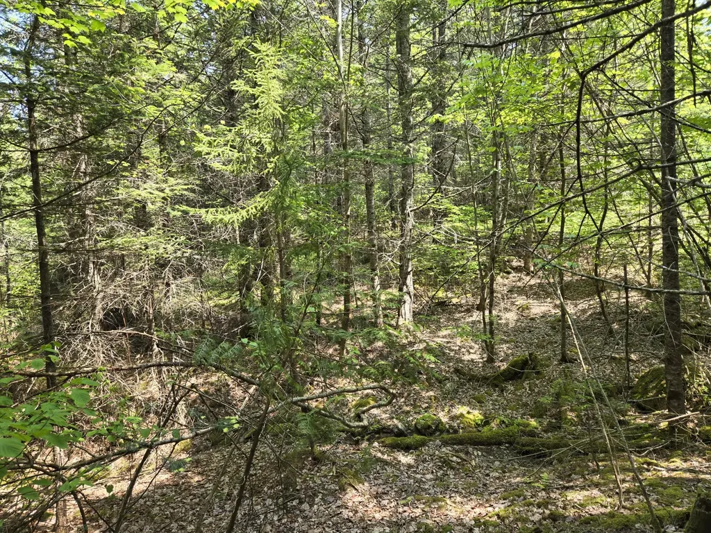 0 Map Wa032 Plan 01 Lot 103.1 Trescott Twp ME 04652