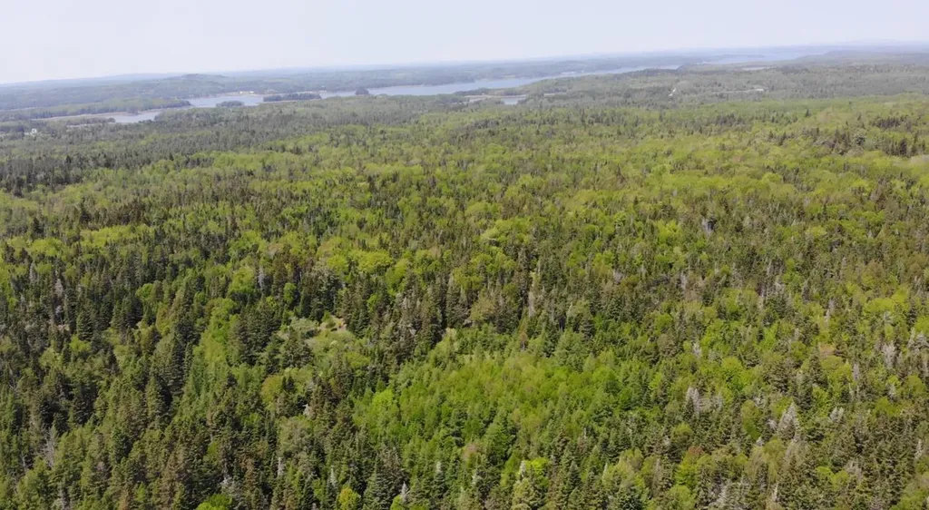 0 Map Wa032 Plan 01 Lot 103.1 Trescott Twp ME 04652