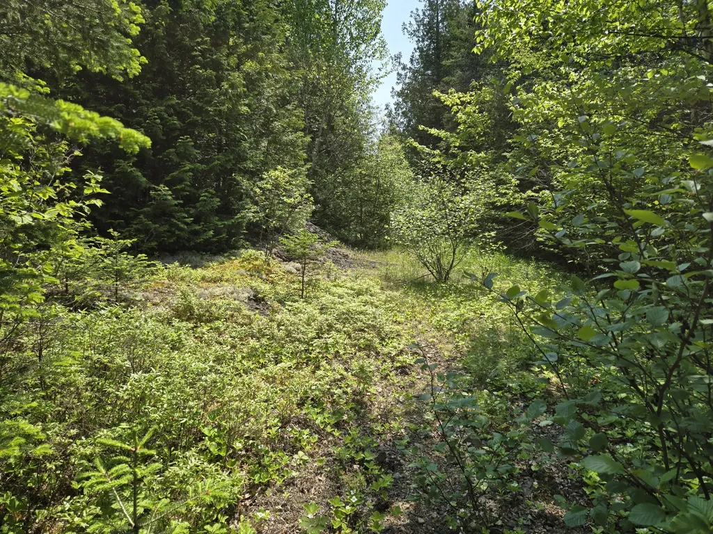 0 Map Wa032 Plan 01 Lot 103.1 Trescott Twp ME 04652