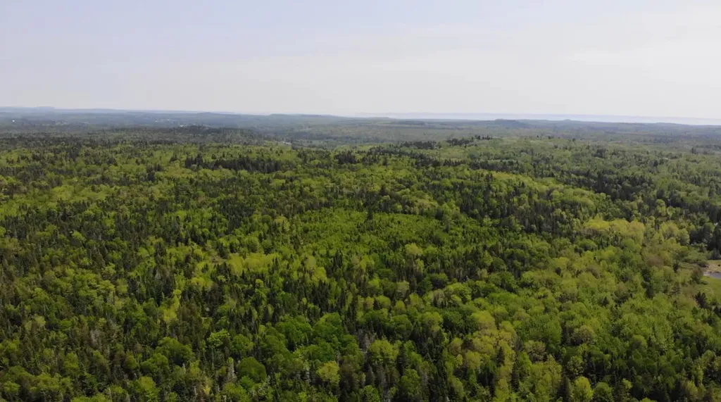 0 Map Wa032 Plan 01 Lot 103.1 Trescott Twp ME 04652