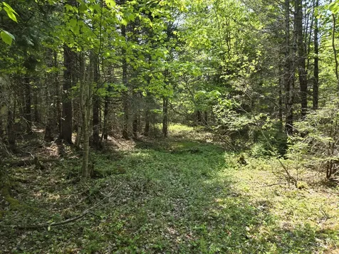 0 Map Wa032 Plan 01 Lot 103.1 Trescott Twp ME 04652