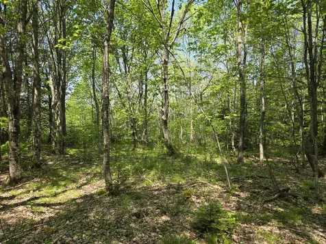 0 Map Wa032 Plan 01 Lot 103.1 Trescott Twp ME 04652