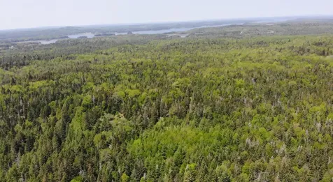 0 Map Wa032 Plan 01 Lot 103.1 Trescott Twp ME 04652