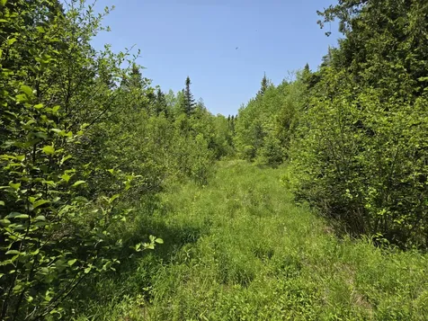 0 Map Wa032 Plan 01 Lot 103.1 Trescott Twp ME 04652